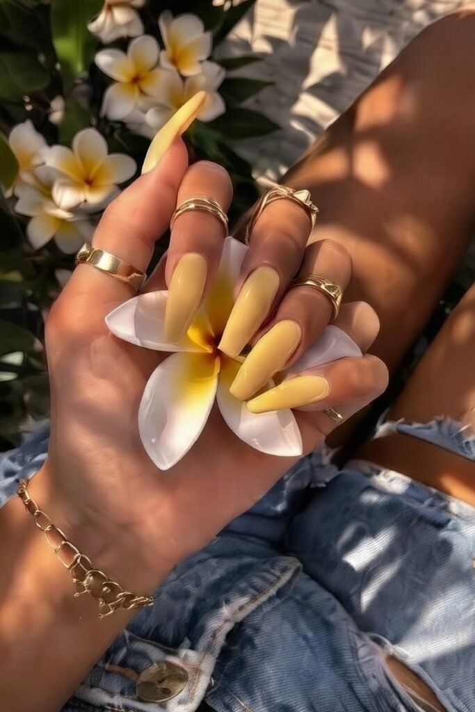 WhatsApp Image 2026-03-08 at 04.39.03 (1)